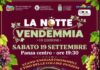 Sabato 19 torna a Panza “La notte della vendemmia”