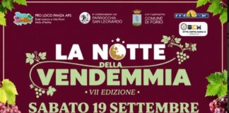 Sabato 19 torna a Panza “La notte della vendemmia”