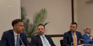 Gianmaria Ferrandino alla Camera: «Quando il Sud si blocca, le isole pagano il prezzo più alto»